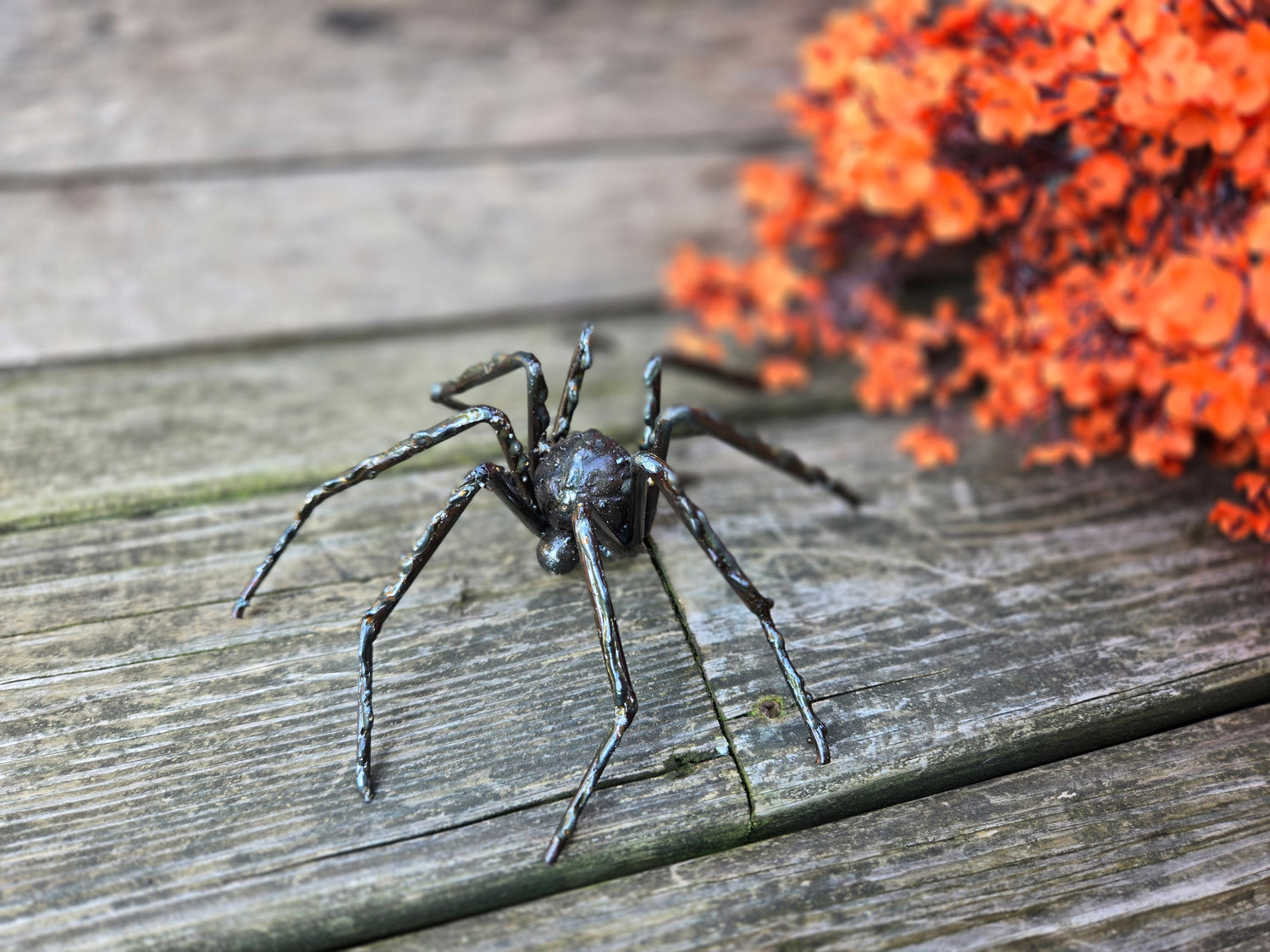 Animals & Insects
